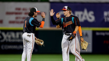 Two four-run innings lead Baysox to Friday night win