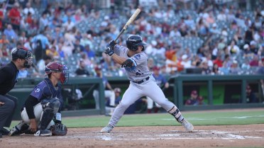 Early Homers Hamper Hooks