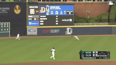 Tristan Peters' amazing diving catch