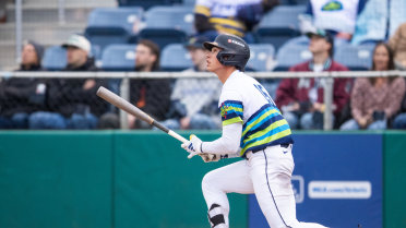 Jonny Farmelo triples (4) on a line drive to right fielder Randy De Jesus. Anthony Donofrio scores.