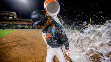 Baysox walk off SeaWolves in 10 innings on Tuesday