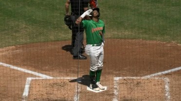 Shalin Polanco's two-homer game 