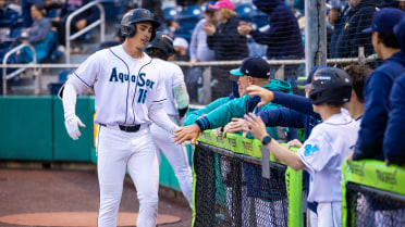 Jonny Farmelo's solo homer
