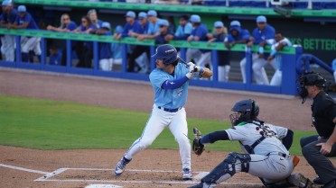 Freethy’s Leadoff Homer Not Enough in Finale Loss