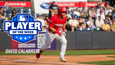 David Calabrese Named NWL Player Of The Week