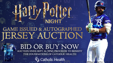 Patronus Racing Buffalo Bisons Harry Potter Patronus Jersey Auction Catholic Health