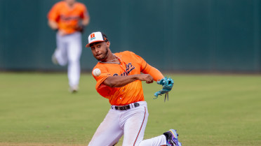 Baysox six-game win streak snapped in home finale defeat