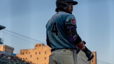 Dalis' Homers to Support Grizzlies Strong Pitching