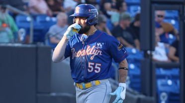 Jimenez Goes Deep, but Cyclones Fall to Renegades, 7-3