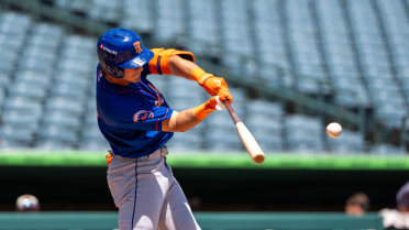 Homers Help Hudson Valley Past Brooklyn, 4-2