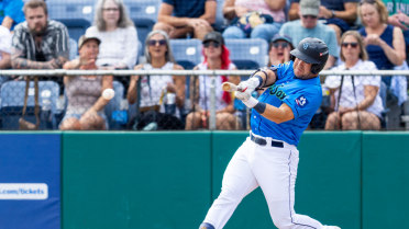 Matthew Ellis singles on a ground ball to right fielder Jose Astudillo. Ricardo Cova scores.
