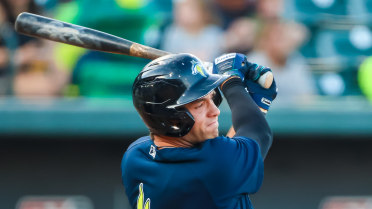 Rally Short-Lived as Fireflies Lose in Walk-Off Fashion