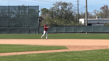 Pondering Positions in the Spring