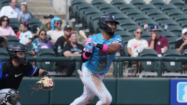 Arias Bashes Multiple Hits in Regular Season Finale