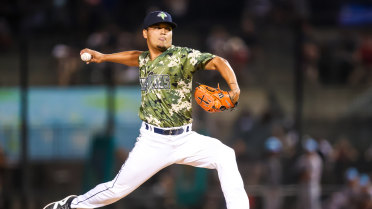 Long Ball Beats Columbia 8-2 