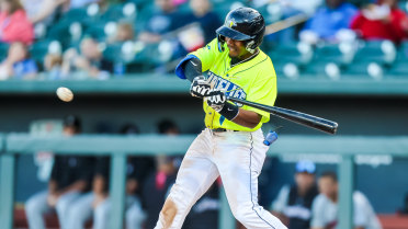Five-Run Second Lifts Fireflies to Victory