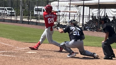 Phillies Prospects Hang on to Beat Tigers in Tune Up
