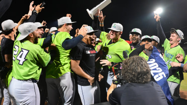 Lynchburg wins 2025 Carolina League Championship