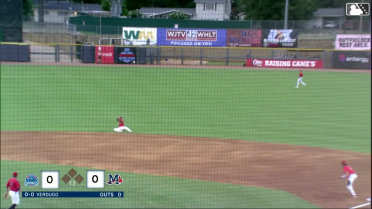 Yolbert Sanchez makes a diving catch