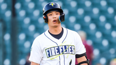 Eight-Run Sixth Sets Down Fireflies 