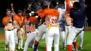 Honey Butter Chicken Biscuit Walk Off Winner