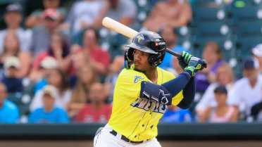 Ricardo, Gamble and Vanek Hit Three-Consecutive homers in Fireflies Blowout Win at Augusta 