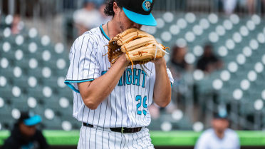 Knights Blanked by the Sounds, 10-0