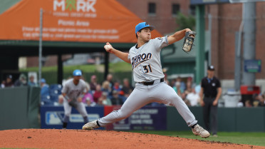 June 18: Denholm, Watson keep Ducks 0.5 behind with 6-3 win in Portland