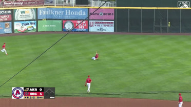 Jacob Young makes a sweet diving catch