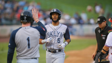Home Runs Can't Push Cyclones Past BlueClaws