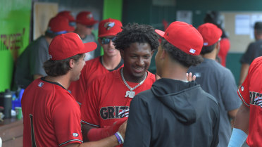 Tena's Clutch Hit Lifts Grizzlies