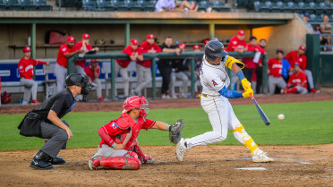 De Jesus Ties Single-Season Dust Devils HR Record
