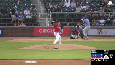 Andy Garriola homers (15) on a fly ball to left center field. Alex Ramírez scores.