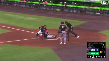 Adley Rutschman gets out at home