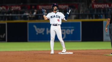 SOUNDS LOSE IN WALK-OFF FASHION TO NORFOLK