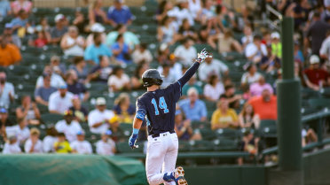 Price Homers Twice, Hooks Shutout Springfield