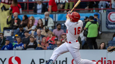 C's Win Wild One In Spokane