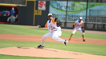 Fireflies Drop Finale 7-2 to Kannapolis 