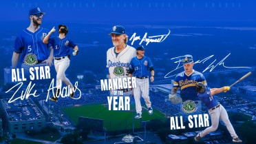 Adams, Ayrault, Wilken Earn Southern League Honors