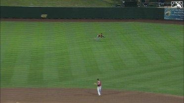 Brewers prospect Sal Frelick makes a diving catch
