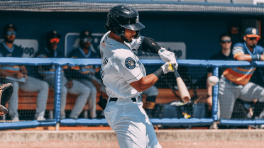 Shuckers Rewrite Record Books in Dominant 19-1 Win over Biscuits