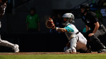 Hops Win Third Straight Behind Grice’s Quality Start 