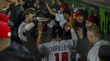 Schofield-Sam slams Sky Carp, 8-2