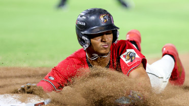 Holliday Weekend Ends Quietly For Grizzlies