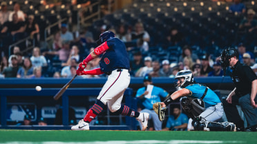 Costly Errors Spoil Sounds Near Comeback Against Stripers