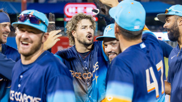 Delgado's Double Delivers Franchise Record 11th Walk-Off Win For Sugar Land