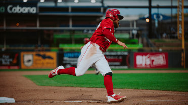 Bats Fall Short 11-10 In Offensive Battle With Iowa