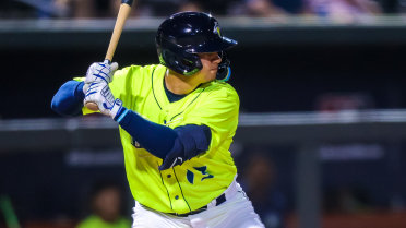 Late Rally Pushes Fireflies to Series Win