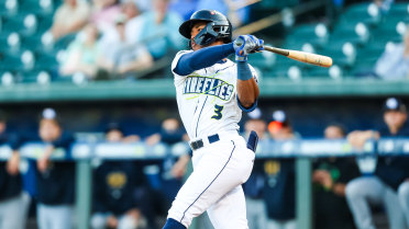 Columbia Splits Rain-Soaked Doubleheader 