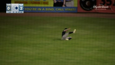 Brendan Summerhill's sliding catch
